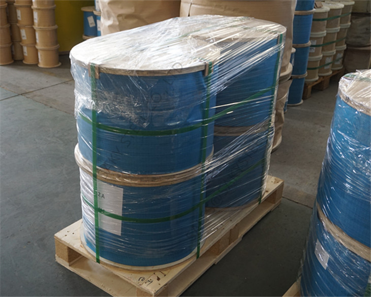 2205 stainless cable