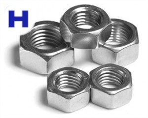 ASTM A194 HEX NUT CAGENERS