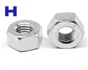 ASTM A194 HEX NUT CAGENERS